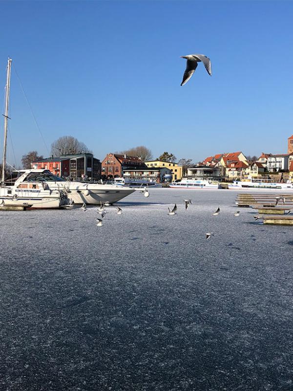 Blick auf den Yachthafen und die Altstadt von Waren im Winter